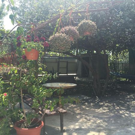 Leselidze Guesthouse Milena מראה חיצוני תמונה