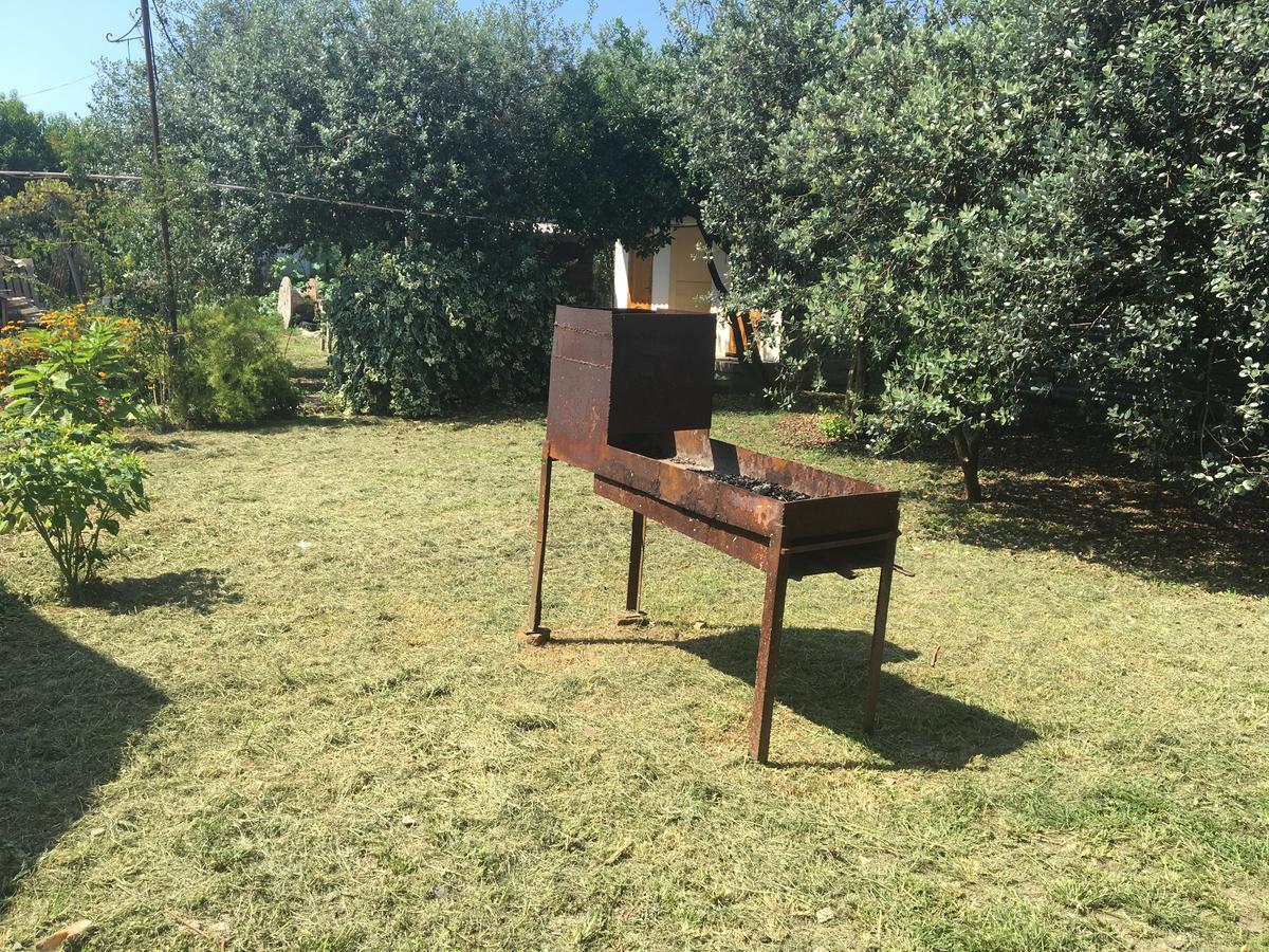 Leselidze Guesthouse Milena מראה חיצוני תמונה