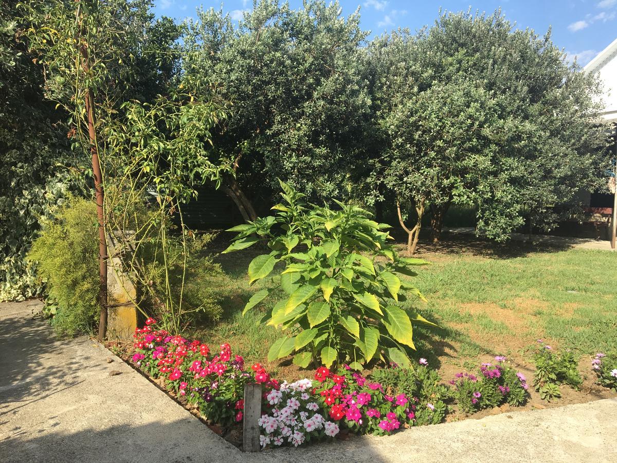 Leselidze Guesthouse Milena מראה חיצוני תמונה