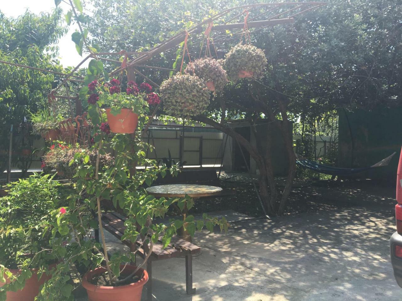 Leselidze Guesthouse Milena מראה חיצוני תמונה