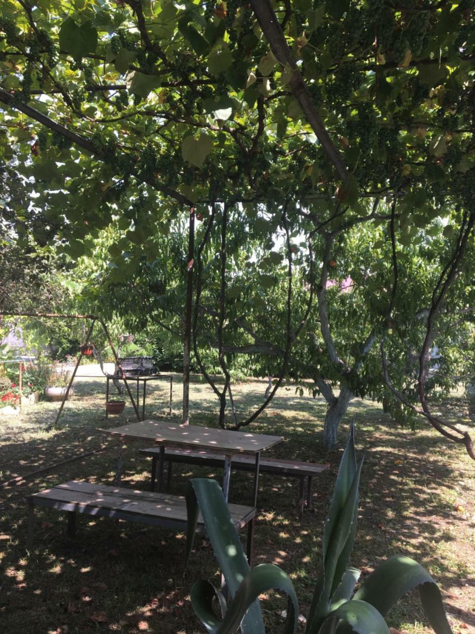 Leselidze Guesthouse Milena מראה חיצוני תמונה